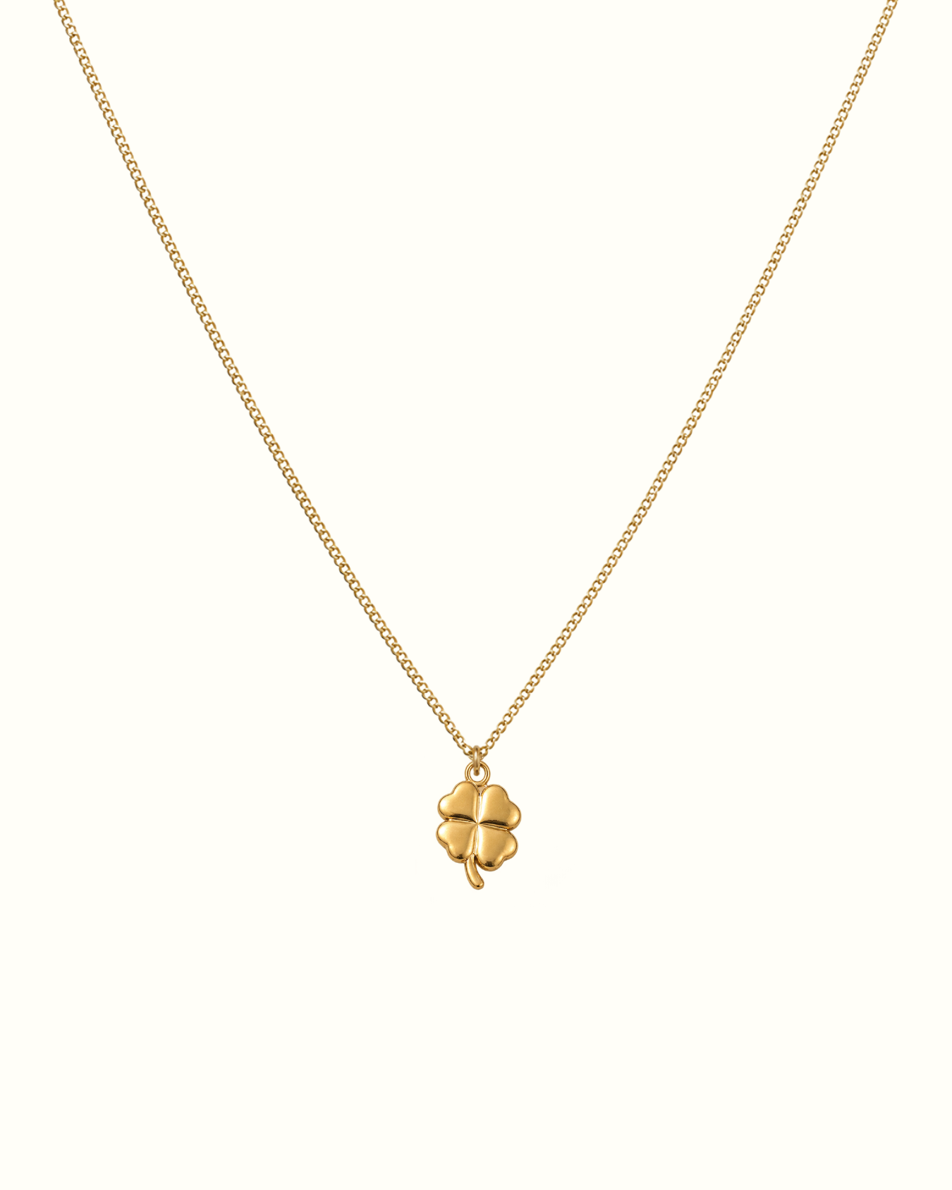Lucky Necklace